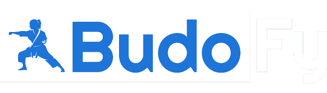 Budofy logo